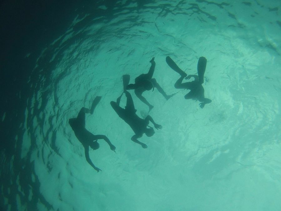 Snorkelers seen from underwater
